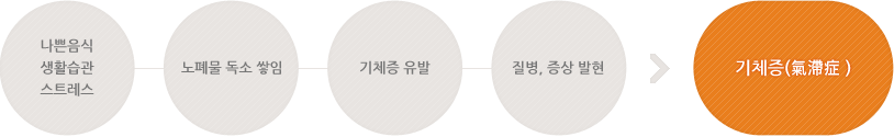 나쁜음식 생활습관 스트레스, 노폐물 독소 쌓임, 기체증 유발, 질병, 증상 발현 > 기체증(氣滯症 ) 