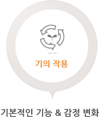 기의작용 기본적인기능 & 감정변화